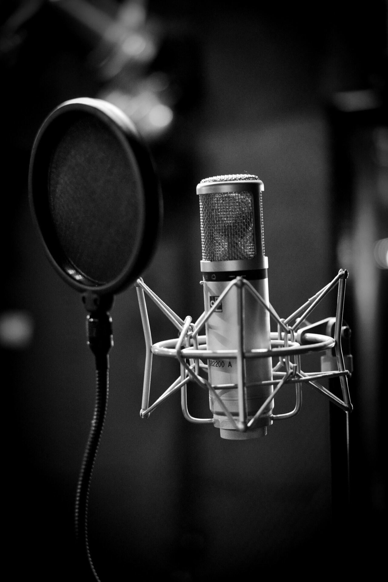 Condenser microphone and pop filter in a recording booth